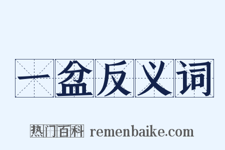 一盆反义词是什么意思的图片